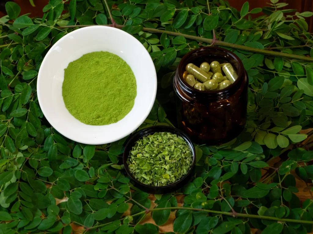 Moringa powder capsules and dried leaves displayed over fresh green moringa branches